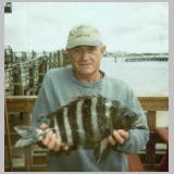 ../assets/img/Archive/2004/sheepshead.jpg